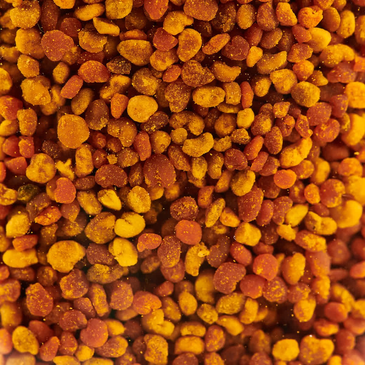 Macro de polen de abeja llenando el cuadro